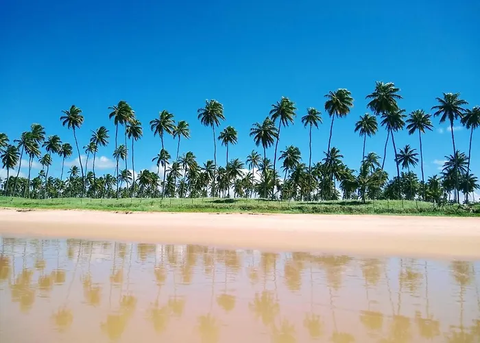 Flat Excelente Em Porto De Galinhas Palm Village Acqua Frente Para As Piscinas