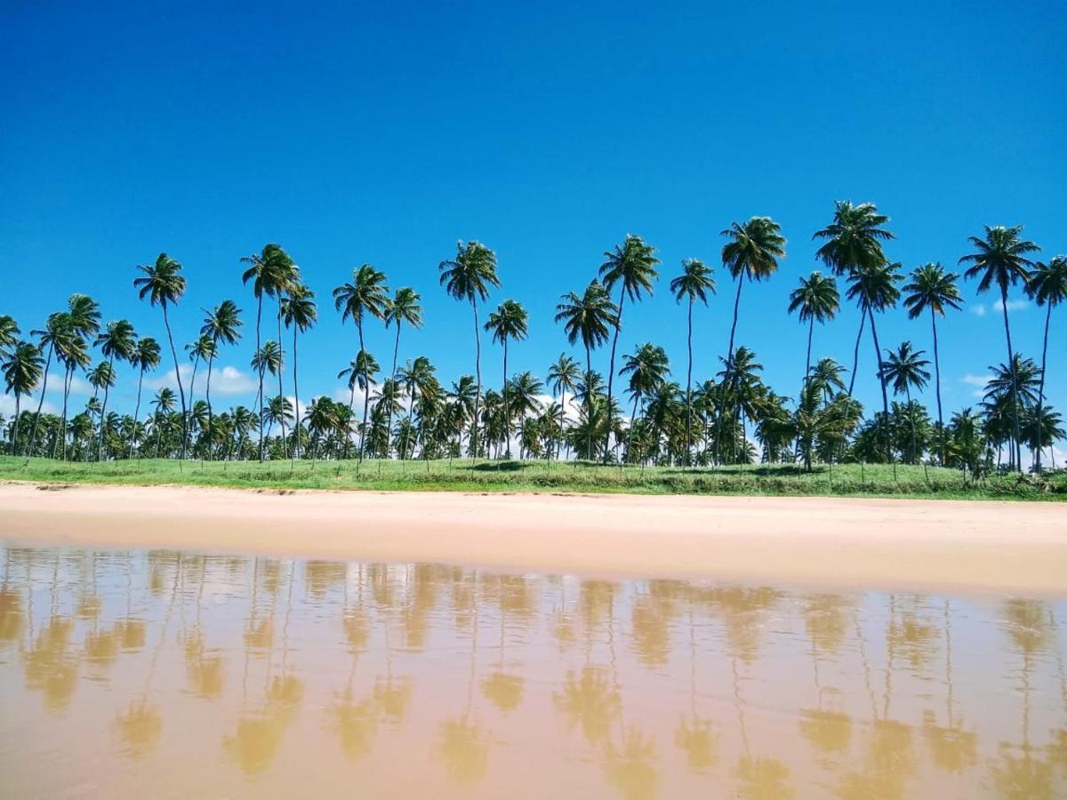 Apartamento Flat Excelente Em Palm Village Acqua Frente As Piscinas